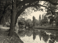 406410 Gezicht op de Stadsbuitengracht te Utrecht, met rechts de Tolsteegsingel en op de achtergrond de Abstederbrug.